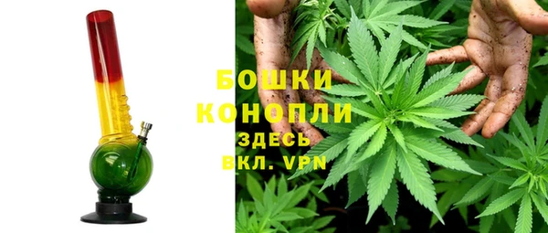 PSILOCYBIN Беломорск