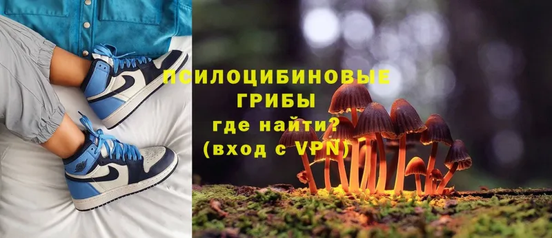 цены наркотик  omg ссылки  Галлюциногенные грибы MAGIC MUSHROOMS  Волжск 